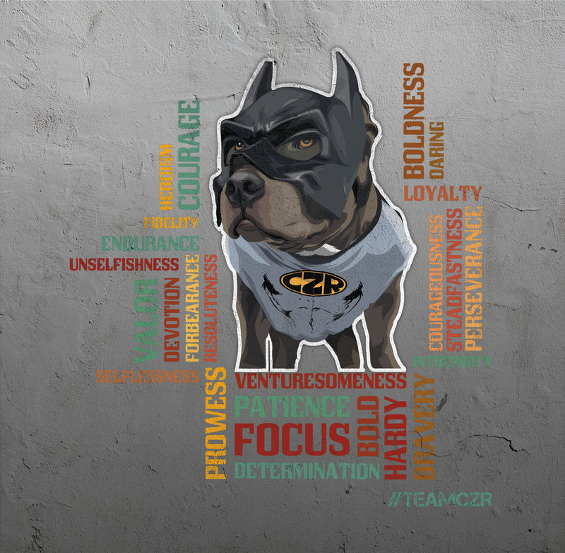 Characteristics - Dog's - Hoodie